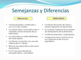 Semejanzas y Diferencias
 