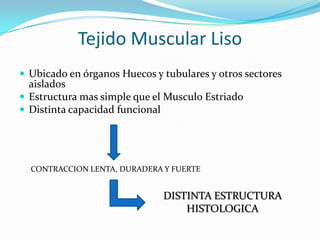 Tejido Muscular Liso
 Ubicado en órganos Huecos y tubulares y otros sectores
  aislados
 Estructura mas simple que el Musculo Estriado
 Distinta capacidad funcional




  CONTRACCION LENTA, DURADERA Y FUERTE


                              DISTINTA ESTRUCTURA
                                  HISTOLOGICA
 