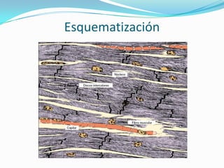 Esquematización
 