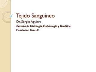 Tejido Sanguíneo
Dr. Sergio Aguirre
Cátedra de Histología, Embriología y Genética
Fundación Barceló
 