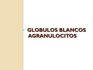 GLOBULOS BLANCOS
AGRANULOCITOS
 
