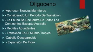 Oligoceno
 -Aparecen Nuevos Mamíferos
 - Considerado Un Periodo De Transición
 - La Fauna Se Encuentra En Todos Los
Continentes Excepto Australia
 - Reptiles Abundantes
 - Transición En El Mundo Tropical
 -Caballo Desaparecido
 - Expansión De Flora
 