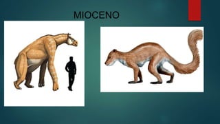 MIOCENO
 