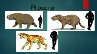 Plioceno
 