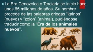 La Era Cenozoica o Terciaria se inició hace
unos 65 millones de años. Su nombre
procede de las palabras griegas “kainos”
(nuevo) y “zoion” (animal), pudiéndose
traducir como la “Era de los animales
nuevos”.
 