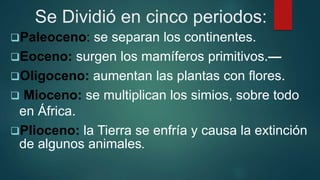 Se Dividió en cinco periodos:
Paleoceno: se separan los continentes.
Eoceno: surgen los mamíferos primitivos.—
Oligoceno: aumentan las plantas con flores.
 Mioceno: se multiplican los simios, sobre todo
en África.
Plioceno: la Tierra se enfría y causa la extinción
de algunos animales.
 