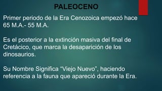 PALEOCENO
Primer periodo de la Era Cenozoica empezó hace
65 M.A.- 55 M.A.
Es el posterior a la extinción masiva del final de
Cretácico, que marca la desaparición de los
dinosaurios.
Su Nombre Significa “Viejo Nuevo”, haciendo
referencia a la fauna que apareció durante la Era.
 