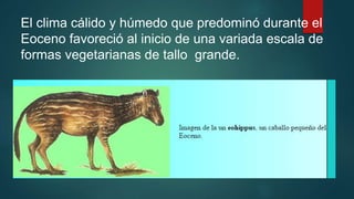 El clima cálido y húmedo que predominó durante el
Eoceno favoreció al inicio de una variada escala de
formas vegetarianas de tallo grande.
 
