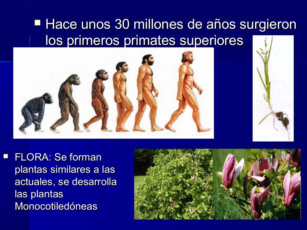 Era cenozoica, periodo cuaternario Era cenozoica, periodo cuaternario