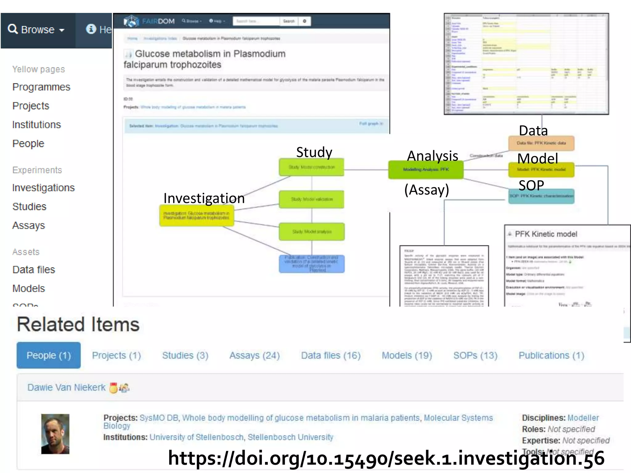 Investigation
Study Analysis
Data
Model
SOP(Assay)
https://doi.org/10.15490/seek.1.investigation.56
 