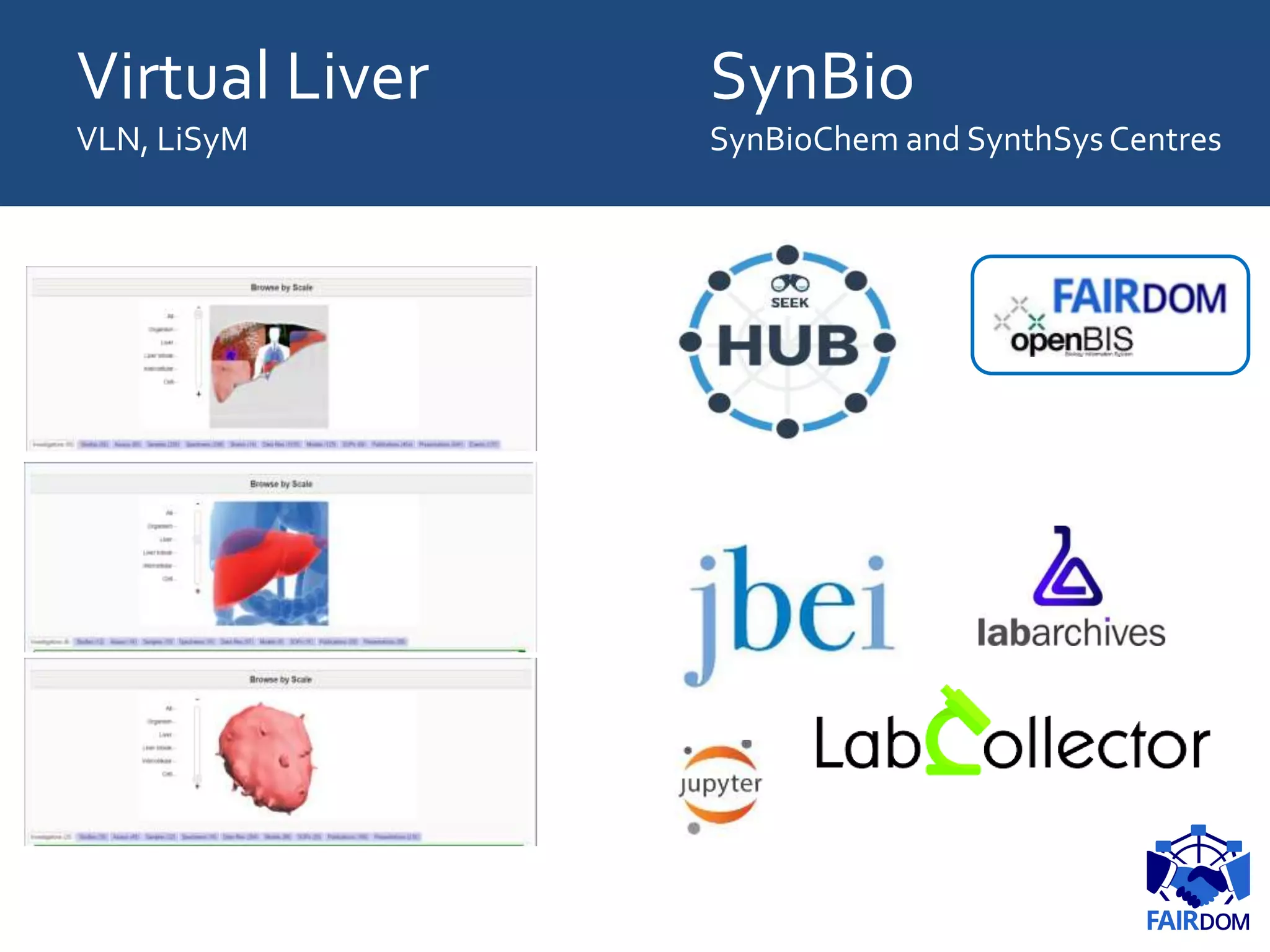 Virtual Liver
VLN, LiSyM
SynBio
SynBioChem and SynthSys Centres
 