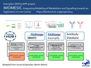Examples: ERASysAPP project
IMOMESIC: Integrating Modelling of Metabolism and Signalling towards an
Application in Liver Cancer https://fairdomhub.org/projects/24
[Adapted from Ursula Klingmüller, Martin Böhm]
Excemplify
Antibody
Database
 