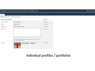 Individual profiles / portfolios
 
