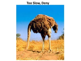 Too Slow, Deny
 