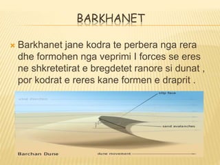 BARKHANET
 Barkhanet jane kodra te perbera nga rera
dhe formohen nga veprimi I forces se eres
ne shkretetirat e bregdetet ranore si dunat ,
por kodrat e reres kane formen e draprit .
 