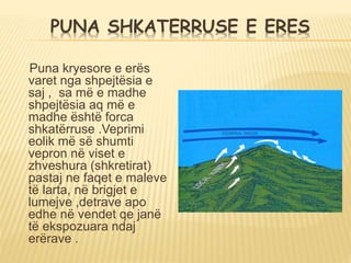 PUNA SHKATERRUSE E ERES
Puna kryesore e erës
varet nga shpejtësia e
saj , sa më e madhe
shpejtësia aq më e
madhe është forca
shkatërruse .Veprimi
eolik më së shumti
vepron në viset e
zhveshura (shkretirat)
pastaj ne faqet e maleve
të larta, në brigjet e
lumejve ,detrave apo
edhe në vendet qe janë
të ekspozuara ndaj
erërave .
 