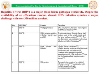 Supercomputing Facility for Bioinformatics & Computational Biology IITD

Hepatitis B virus (HBV) is a major blood-borne pathogen worldwide. Despite the
availability of an efficacious vaccine, chronic HBV infection remains a major
challenge with over 350 million carriers.
No.

HBV ORF

Protein

Function

1

ORF P

Viral polymerase

DNA polymerase, Reverse transcriptase
and RNase H activity[36,48].

2

ORF S

HBV surface proteins Envelope proteins: three in-frame start
(HBsAg, pre-S1 and codons code for the small, middle and
pre-S2)
the large surface proteins[36,49,50]. The
pre-S proteins are associated with virus
attachment to the hepatocyte[51]

3

ORF C

Core protein
HBeAg

4

ORF X

HBx protein

and HBcAg: forms the capsid [36].
HBeAg: soluble protein and its biological
function are still not understood.
However, strong epidemiological
associations with HBV replication[52] and
risk for hepatocellular carcinoma are
known[42].
Transactivator; required to establish
infection in vivo[53,54]. Associated with
multiple steps leading to
hepatocarcinogenesis[45].

 