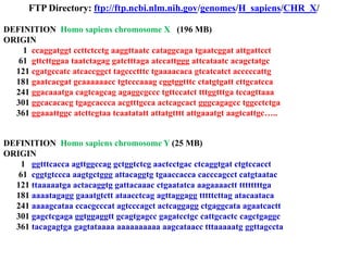FTP Directory: ftp://ftp.ncbi.nlm.nih.gov/genomes/H_sapiens/CHR_X/
DEFINITION Homo sapiens chromosome X (196 MB)
ORIGIN
1 ccaggatggt ccttctcctg aaggttaatc cataggcaga tgaatcggat attgattcct
61 gttcttggaa taatctagag gatctttaga atccattggg attcataatc acagctatgc
121 cgatgccatc atcaccggct tagccctttc tgaaaacaca gtcatcatct acccccattg
181 gaatcacgat gcaaaaaacc tgtcccaaag cggtggtttc ctatgtgatt cttgcatcca
241 ggacaaatga cagtcagcag agaggcgccc tgttccatct tttggtttga tccagttaaa
301 ggcacacacg tgagcaccca acgtttgcca actcagcact gggcagagcc tggcctctga
361 ggaaattggc atcttcgtaa tcaatatatt attatgtttt attgaaatgt aagtcattgc…..

DEFINITION Homo sapiens chromosome Y (25 MB)
ORIGIN
1 ggtttcacca agttggccag gctggtctcg aactcctgac ctcaggtgat ctgtccacct
61 cggtgtccca aagtgctggg attacaggtg tgaaccacca cacccagcct catgtaatac
121 ttaaaaatga actacaggtg gattacaaac ctgaatatca aagaaaactt ttttttttga
181 aaaatagagg gaaatgtctt ataacctcag agttaggagg tttttcttag atacaataca
241 aaaagcataa ccacgcccat agtcccagct actcaggagg ctgaggcata agaatcactt
301 gagctcgaga ggtggaggtt gcagtgagcc gagatcctgc cattgcactc cagctgaggc
361 tacagagtga gagtataaaa aaaaaaaaaa aagcataacc tttaaaaatg ggttagccta

 