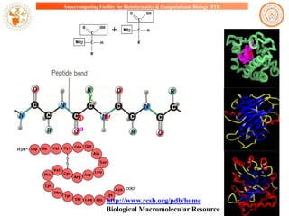 Supercomputing Facility for Bioinformatics & Computational Biology IITD

+

c

ω

Y

http://www.rcsb.org/pdb/home
Biological Macromolecular Resource

 