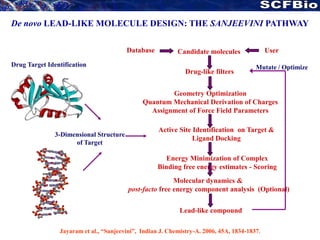 De novo LEAD-LIKE MOLECULE DESIGN: THE SANJEEVINI PATHWAY
Database

User

Candidate molecules

Drug Target Identification

Drug-like filters

Mutate / Optimize

Geometry Optimization
Quantum Mechanical Derivation of Charges
Assignment of Force Field Parameters

3-Dimensional Structure
of Target

Active Site Identification on Target &
Ligand Docking
Energy Minimization of Complex
Binding free energy estimates - Scoring
Molecular dynamics &
post-facto free energy component analysis (Optional)

Lead-like compound
Jayaram et al., “Sanjeevini”, Indian J. Chemistry-A. 2006, 45A, 1834-1837.

 