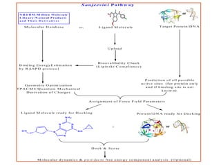 S a n je e v in i P a t h w a y

or

N R D B M /M illio n M o le c u le
L ib r a r y /N a t u r a l P r o d u c t s
a n d T h e ir D e r iv a t iv e s

M o le c u la r D a ta b a s e

T a r g e t P ro te in /D N A

L ig a n d M o le c u le

o r,

U p lo a d

B io a v a lib a lity C h e c k
( L ip in s k i C o m p lia n c e )

B in d in g E n e rg y E s tim a tio n
b y R A S P D p ro to c o l

P r e d ic tio n o f a ll p o s s ib le
a c tiv e s ite s ( fo r p r o te in o n ly
a n d if b in d in g s ite is n o t
k n o w n ).

G e o m e tr y O p tim iz a tio n
T P A C M 4 /Q u a n tu m M e c h a n ic a l
D e r iv a tio n o f C h a r g e s

A s s ig n m e n t o f F o r c e F ie ld P a r a m e te r s

L ig a n d M o le c u le r e a d y f o r D o c k in g

P r o te in /D N A r e a d y f o r D o c k in g

NH2

N

N

+
OH

or

NH

N
N

D o c k & S c o re

M o le c u la r d y n a m ic s & p o s t- fa c to f r e e e n e r g y c o m p o n e n t a n a ly s is

( O p tio n a l)

 