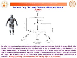 Supercomputing Facility for Bioinformatics & Computational Biology IITD

Future of Drug Discovery: Towards a Molecular View of
ADME/T
D ru g

S ite o f A d m in istra tio n

Parenteral Route

O r a l R o u te

A b so rp tio n

Resorption

D istrib u tio n fro m P la sm a
B ound D rug

U nbound D rug

M e ta b o lism

E x c re tio n

L iv e r

B ile , S a liv a , S w e a t,

S ite o f A c tio n

K id n e y

D rug T arget

The distribution path of an orally administered drug molecule inside the body is depicted. Black solid
arrows: Complete path of drug starting from absorption at site of administration to distribution to the
various compartments in the body, like sites of metabolism, drug action and excretion. Dashed arrows:
Path of the drug after metabolism. Dash-dot arrows: Path of drug after eliciting its required action on
the target. Dot arrows: Path of the drug after being reabsorbed into circulation from the site of
excretion. Affinity/specificity are under control but toxicity is yet to be conquered.

 