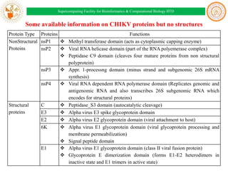 Supercomputing Facility for Bioinformatics & Computational Biology IITD

Some available information on CHIKV proteins but no structures
Protein Type Proteins
Functions
NonStructural nsP1
 Methyl transferase domain (acts as cytoplasmic capping enzyme)
Proteins
nsP2
 Viral RNA helicase domain (part of the RNA polyemerase complex)
 Peptidase C9 domain (cleaves four mature proteins from non structural
polyprotein)
nsP3
 Appr. 1-processng domain (minus strand and subgenomic 26S mRNA
synthesis)
nsP4
 Viral RNA dependent RNA polymerase domain (Replicates genomic and
antigenomic RNA and also transcribes 26S subgenomic RNA which
encodes for structural proteins)
Structural
C
 Peptidase_S3 domain (autocatalytic cleavage)
proteins
E3
 Alpha virus E3 spike glycoprotein domain
E2
 Alpha virus E2 glycoprotein domain (viral attachment to host)
6K
 Alpha virus E1 glycoprotein domain (viral glycoprotein processing and
membrane permeabilization)
 Signal peptide domain
E1
 Alpha virus E1 glycoprotein domain (class II viral fusion protein)
 Glycoprotein E dimerization domain (forms E1-E2 heterodimers in
inactive state and E1 trimers in active state)

 