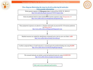 Supercomputing Facility for Bioinformatics & Computational Biology IITD

Flow diagram illustrating the steps involved in achieving hit molecules
from genomic information
Whole genome sequence of Chikungunya virus is retrieved from NCBI: NC_004162.2
http://www.ncbi.nlm.nih.gov/nuccore/27754751?report=fasta
Genes are predicted which are then translated to the protein sequences using Chemgenome 3.0
http://www.scfbio-iitd.res.in/chemgenome/chemgenome3.jsp

These polyprotein sequences are spliced w.r.t literature and results are processed for 3-D structure prediction
by Bhageerath-H
http://www.scfbio-iitd.res.in/bhageerath/bhageerath_h.jsp

Modeled structures are studied for identification of potential active sites by active site finder AADS
http://www.scfbio-iitd.res.in/dock/ActiveSite.jsp

A million compound library of small molecules is screened against the predicted binding sites using RASPD
http://www.scfbio-iitd.res.in/software/drugdesign/raspd.jsp

The screened molecules are docked, scored and optimized iteratively using SANJEEVINI
http://www.scfbio-iitd.res.in/sanjeevini/sanjeevini.jsp

Hits ready to be synthesized and tested in
laboratory

 