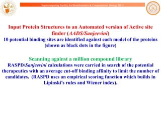 Supercomputing Facility for Bioinformatics & Computational Biology IITD

Input Protein Structures to an Automated version of Active site
finder (AADS/Sanjeevini)
10 potential binding sites are identified against each model of the proteins
(shown as black dots in the figure)

Scanning against a million compound library
RASPD/Sanjeevini calculations were carried in search of the potential
therapeutics with an average cut-off binding affinity to limit the number of
candidates. (RASPD uses an empirical scoring function which builds in
Lipinski‟s rules and Wiener index).

 