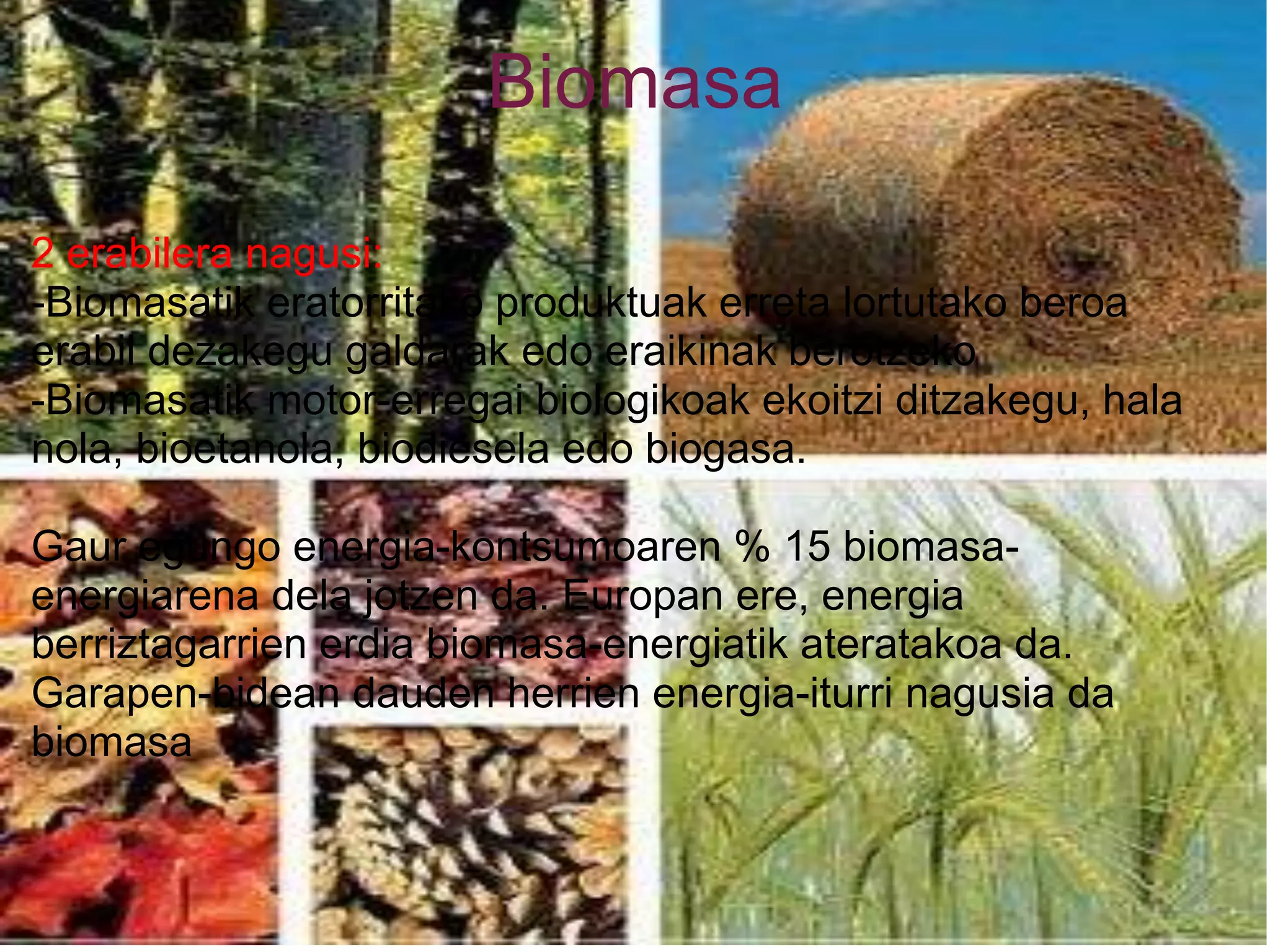 Biomasa
2 erabilera nagusi:
-Biomasatik eratorritako produktuak erreta lortutako beroa
erabil dezakegu galdarak edo eraikinak berotzeko
-Biomasatik motor-erregai biologikoak ekoitzi ditzakegu, hala
nola, bioetanola, biodiesela edo biogasa.
Gaur egungo energia-kontsumoaren % 15 biomasa-
energiarena dela jotzen da. Europan ere, energia
berriztagarrien erdia biomasa-energiatik ateratakoa da.
Garapen-bidean dauden herrien energia-iturri nagusia da
biomasa
 