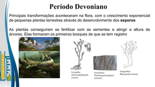 Período Devoniano
Principais transformações aconteceram na flora, com o crescimento exponencial
de pequenas plantas terrestres através do desenvolvimento dos esporos
As plantas conseguiram se fertilizar com as sementes e atingir a altura de
árvores. Elas formaram os primeiros bosques de que se tem registro
 
