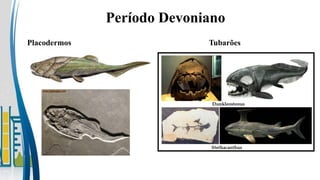Placodermos
Período Devoniano
Tubarões
 