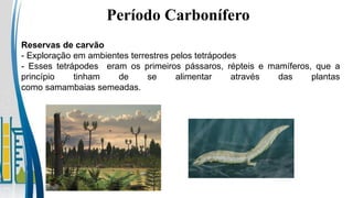 Período Carbonífero
Reservas de carvão
- Exploração em ambientes terrestres pelos tetrápodes
- Esses tetrápodes eram os primeiros pássaros, répteis e mamíferos, que a
princípio tinham de se alimentar através das plantas
como samambaias semeadas.
 