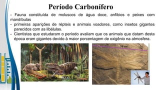 Período Carbonífero
- Fauna constituída de moluscos de água doce, anfíbios e peixes com
mandíbulas
- primeiras aparições de répteis e animais voadores, como insetos gigantes
parecidos com as libélulas.
- Cientistas que estudaram o período avaliam que os animais que datam desta
época eram gigantes devido à maior porcentagem de oxigênio na atmosfera.
 