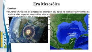  Durante o Cretáceo, os dinossauros alcançam seu ápice na escala evolutiva (mais da
metade das espécies conhecidas viveram neste período), mas ao fim do período
ocorreu a extinção em massa desses grandes répteis e de diversas espécies de
animais da Terra (cerca de 60% deles foram extintos).
 A teoria mais aceita é a de que a queda de um meteoro de grandes proporções (maior
e com maior massa que o Monte Everest - dimensões e massa atuais) na Península
de Yucatán, no México, gerou destruição em massa, em função do impacto (extinção
K-T)
Era Mesozóica
Cretáceo
 