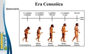 Era Cenozóica
Quaternário
 