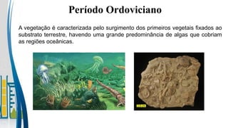 A vegetação é caracterizada pelo surgimento dos primeiros vegetais fixados ao
substrato terrestre, havendo uma grande predominância de algas que cobriam
as regiões oceânicas.
Período Ordoviciano
 