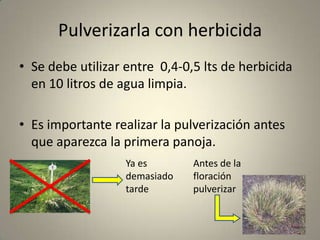 Efectos en el animalMenor eficiencia de los animales