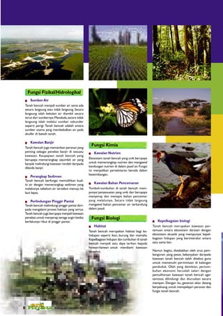 Fungsi Fizikal/Hidrologikal
            Sumber Air
        Tanah bencah menjadi sumber air sama ada
        secara langsung atau tidak langsung. Secara
        langsung ialah bekalan air diambil secara
        terus dari sumbernya. Manakala, secara tidak
        langsung ialah melalui sumber sekunder
        seperti perigi. Tanah bencah adalah antara
        sumber utama yang membekalkan air pada
        akuifer di bawah tanah.

            Kawalan Banjir
        Tanah bencah juga memainkan peranan yang
                                                           Fungsi Kimia
        penting sebagai penebat banjir di sesuatu          Kawalan Nutrien
        kawasan. Keupayaan tanah bencah yang
        berupaya memerangkap sejumlah air yang         Ekosistem tanah bencah yang unik berupaya
        banyak melindungi kawasan rendah daripada      untuk memerangkap nutrien dan mengawal
        dilanda banjir.                                kandungan nutrien di dalam jasad air. Fungsi
                                                       ini menjadikan persekitaran berada dalam
                                                       keseimbangan.
            Perangkap Sedimen
        Tanah bencah berfungsi memulihkan kual-
        iti air dengan memerangkap sedimen yang            Kawalan Bahan Pencemaran
        melaluinya sebelum air tersebut menuju ke      Tumbuh-tumbuhan di tanah bencah mem-
        laut lepas.                                    punyai penyesuaian yang unik dan berupaya
                                                       menyerap dan menapis bahan pencemar
            Perlindungan Pinggir Pantai               yang melaluinya. Secara tidak langsung
        Tanah bencah melindungi pinggir pantai dari-   mengawal bahan pencemar air terkandung
        pada mengalami proses hakisan yang serius.     dalam jasad.
        Tanah bencah juga berupaya menjadi kawasan
        penebat untuk menyerap tenaga angin ketika         Fungsi Biologi
        berlakunya ribut di pinggir pantai.                                                              Kepelbagaian biologi
                                                           Habitat                                   Tanah bencah merupakan kawasan per-
                                                       Tanah bencah merupakan habitat bagi ke-        temuan antara ekosistem daratan dengan
                                                       hidupan seperti ikan, burung dan mamalia.      ekosistem akuatik yang mempunyai kepel-
                                                       Kepelbagaian hidupan dan tumbuhan di tanah     bagaian hidupan yang berinteraksi antara
                                                       bencah menjadi satu daya tarikan kepada        satu sama lain.
                                                       haiwan-haiwan untuk mendiami kawasan
                                                       tersebut.                                      Namun begitu, disebabkan oleh arus pem-
                                                                                                      bangunan yang pesat, kebanyakan daripada
                                                                                                      kawasan tanah bencah telah ditebus guna
                                                                                                      untuk memenuhi permintaan di kalangan
                                                                                                      penduduk. Oleh yang demikian, pertum-
                                                                                                      buhan ekonomi haruslah selari dengan
                                                                                                      pemuliharaan kawasan tanah bencah agar
                                                                                                      sentiasa dilindungi dan diuruskan secara
                                                                                                      mampan. Dengan itu, generasi akan datang
                                                                                                      berpeluang untuk mempelajari peranan dan
                                                                                                      fungsi tanah bencah.


8                          Keluaran Sept/Dis 2005
    8                        Keluaran Sept/Dis 2005
 