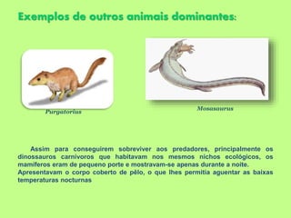 Exemplos de outros animais dominantes:
Purgatorius
Mosasaurus
Assim para conseguirem sobreviver aos predadores, principalmente os
dinossauros carnívoros que habitavam nos mesmos nichos ecológicos, os
mamíferos eram de pequeno porte e mostravam-se apenas durante a noite.
Apresentavam o corpo coberto de pêlo, o que lhes permitia aguentar as baixas
temperaturas nocturnas
 