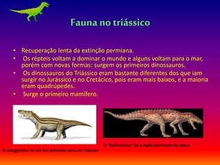 Fauna notriássico
• Recuperação lenta da extinção permiana.
• Os répteis voltam a dominar o mundo e alguns voltam para o mar,
porém com novas formas: surgem os primeiros dinossauros.
• Os dinossauros do Triássico eram bastante diferentes dos que iam
surgir no Jurássico e no Cretácico, pois eram mais baixos, e a maioria
eram quadrúpedes.
• Surge o primeiro mamífero.
O “Postosuchus” foi o réptil dominante da época
O Cynognathus foi um dos primeiros seres do Triássico
 