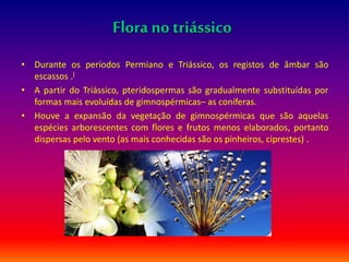 Flora notriássico
• Durante os períodos Permiano e Triássico, os registos de âmbar são
escassos .[
• A partir do Triássico, pteridospermas são gradualmente substituídas por
formas mais evoluídas de gimnospérmicas– as coníferas.
• Houve a expansão da vegetação de gimnospérmicas que são aquelas
espécies arborescentes com flores e frutos menos elaborados, portanto
dispersas pelo vento (as mais conhecidas são os pinheiros, ciprestes) .
 