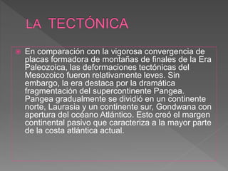  En comparación con la vigorosa convergencia de
placas formadora de montañas de finales de la Era
Paleozoica, las deformaciones tectónicas del
Mesozoico fueron relativamente leves. Sin
embargo, la era destaca por la dramática
fragmentación del supercontinente Pangea.
Pangea gradualmente se dividió en un continente
norte, Laurasia y un continente sur, Gondwana con
apertura del océano Atlántico. Esto creó el margen
continental pasivo que caracteriza a la mayor parte
de la costa atlántica actual.
 