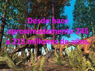 Desde hace
aproximadamente 245
a 213 millones de años.
 