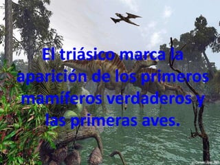 El triásico marca la
aparición de los primeros
mamíferos verdaderos y
las primeras aves.
 