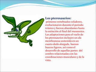 Los pterosaurios:
primeros vertebrados voladores,
evolucionaron durante el periodo
triásico y fueron abundantes hasta
la extinción al final del mesozoico.
Las adaptaciones para el vuelo de
los pterosaurios incluyen un ala
membranosa sostenida en un
cuarto dedo alargada, huesos
huecos ligeros, así como el
desarrollo de aquellas partes del
cerebro relacionadas con las
coordinaciones musculares y de la
vista.
 