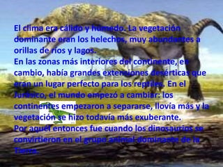 El clima era cálido y húmedo. La vegetación
dominante eran los helechos, muy abundantes a
orillas de ríos y lagos.
En las zonas más interiores del continente, en
cambio, había grandes extensiones desérticas que
eran un lugar perfecto para los reptiles. En el
Jurásico, el mundo empezó a cambiar: los
continentes empezaron a separarse, llovía más y la
vegetación se hizo todavía más exuberante.
Por aquél entonces fue cuando los dinosaurios se
convirtieron en el grupo animal dominante de la
Tierra.
 