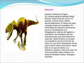 Alosaurio
Especie: Allosaurus Fragilis
Su nombre significa Delicado Reptil
Extraño. Este carnívoro vivió en el
periodo Jurásico tardío. Medía
aproximadamente 12 metros de largo
y pesaba hasta dos toneladas. Se
alimentaba de pequeños dinosaurios
como el Camptosaurio y el
Estegosaurio, además de lagartos y
mamíferos. Se caracteriza por las
protuberancias que tiene delante de
cada ojo. Hasta la fecha no se sabe
con exactitud cuál era la función de
éstas. Es uno de los dinosaurios de los
que se tiene mayor información, sobre
todo en lo que se refiere a su
anatomía, aspecto y forma de vida. Se
han encontrado restos fósiles en el
oeste de Estados Unidos, Portugal y
Australia.
 