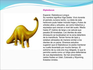 Diplodocus
Especie: Diplodocus Longus
Su nombre significa Viga Doble. Vivió durante
el periodo Jurásico tardío. La dieta de este
herbívoro pudo haber incluido hojas y frutos de
árboles altos y arbustos, así como helechos y
equisetos que crecían a nivel del suelo. Medía
hasta 27 metros de largo y se calcula que
pesaba 20 toneladas. Los dientes de este
dinosaurio se localizaban en la zona delantera
de la mandíbula. Tenían forma de lápiz y
estaban alineados de manera similar a los
dientes de un peine. Diversos estudios
sugieren que el Diplodocus no podía mantener
su cuello levantado por mucho tiempo. El
extremo de su cola era muy delgado, lo que le
permitía usarla como un látigo para defenderse
de sus depredadores. Se han encontrado
restos fósiles un Utah, Colorado y Wyoming,
Estados Unidos.
 