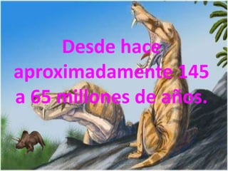 Desde hace
aproximadamente 145
a 65 millones de años.
 